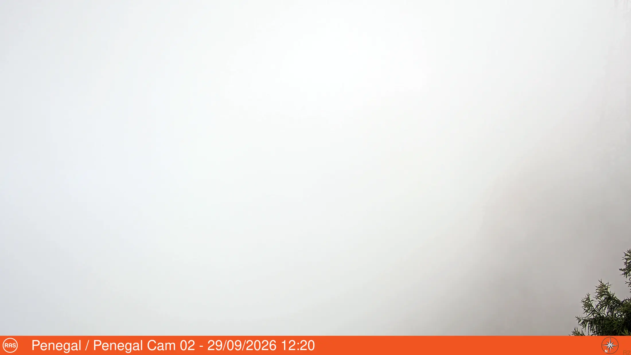 Webcam
