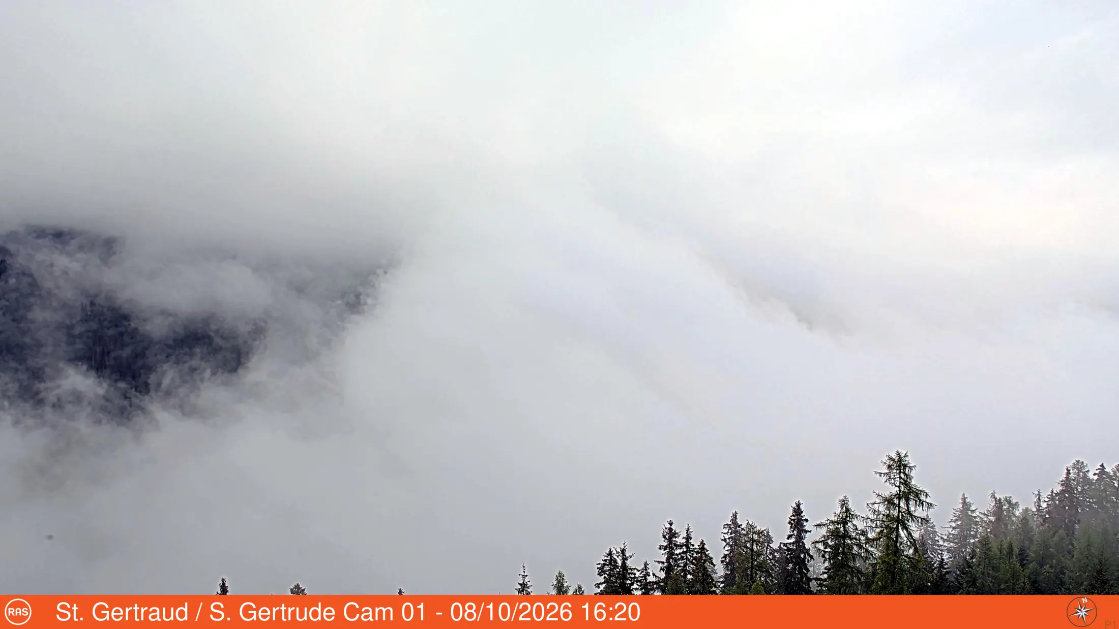 Webcam