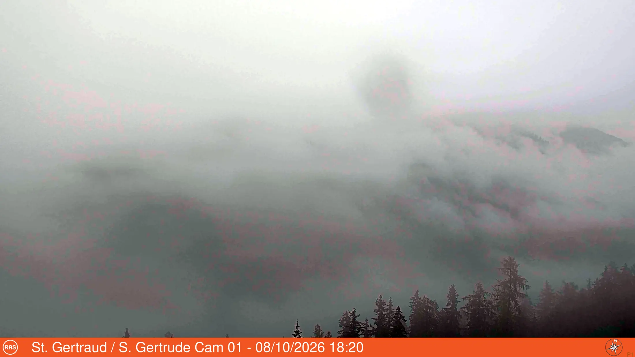 Webcam